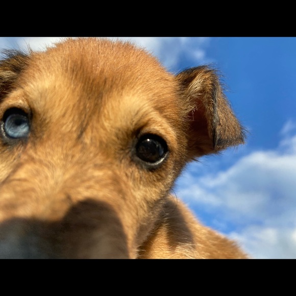 Meet your Posher, Kimberley - Picture 1 of 1